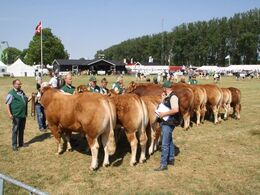 Alle dem som var med i ærespræmie konkurrencen.