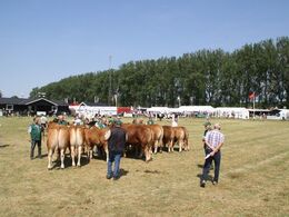 Alle dem som var med i ærespræmie konkurrencen.
