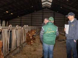 Hos Elmely Limousine d. 29/1