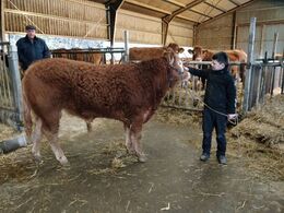 Hos Baunebo Limousine d. 29/1