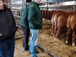 Hos Baunebo Limousine d. 29/1