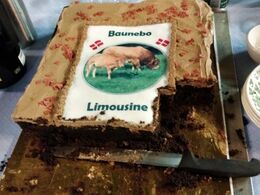 Hos Baunebo Limousine d. 29/1