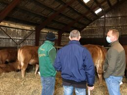 Hos Risvang Limousine 29/1