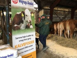 Hos Risvang Limousine 29/1