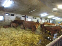 Hos Svend Engelst i Område Nord