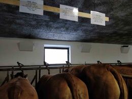 Her er hængt staldtavler op over dyrene