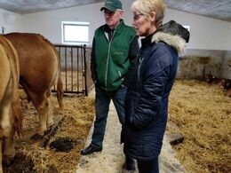 Arne Brandstrup i limousinesnak bag køerne