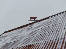 En fin vejrlimousine på tagryggen Tak til Arne Brandstrup for en god dag