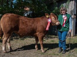 Balløjgårdens Norton – fra Christian Dybro Brandt, Vojens