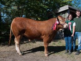 Grunnet Nougat – fra Simon Smidt, Ferritslev Fyn