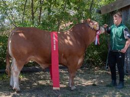 Gandrup Magne – bedste køddyr – fra Lene og Per Laursen, Arden