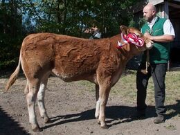 Randers Nadia – fra Freddie L. Christiansen, Randers SV