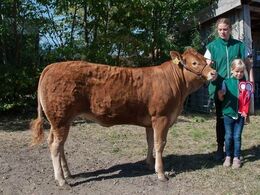 Kloster Nellie ET – fra Nina & Lars Kloster, Langå