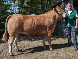 Mirabelle – fra Peter Kragh Madsen, Randers SV