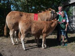 Birkely Julia – bedste ko 3-5 år – fra Jakob Ravn, Thorsø