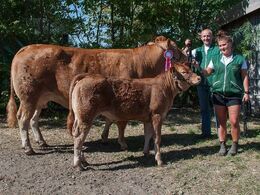 Karensminde Heidi – fra Søren Hedegaard Jensen, Ansager