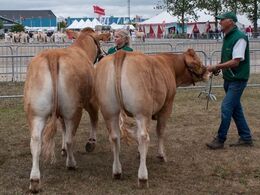 Bedste par – fra Peter Kragh Madsen, Rander SV