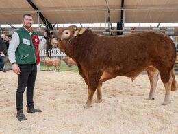 Katalog nr. 15 - Mosegården Rocky, fra Solveig og Peter wagner Holst, Føvling