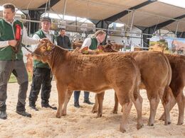 Katalog nr. 22 - Stenbjerg Sylvia P (tv), fra Jens Thaysen, Østbirk