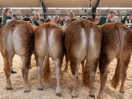 Katalog nr. 57 - Birkely Renæssance, fra Jakob Ravn, Thorsø