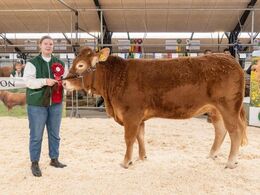 Katalog nr. 73 - Krogens Pippi, fra Simon Thaysen Smidt, Ferritslev