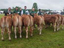 12,22 Kvier 6 – 8 mdr.  Fløj (tv) til Lindegaarden Molly fra Lindegaarden Limousine v/ A.P. Kragh Madsen, Randers SV