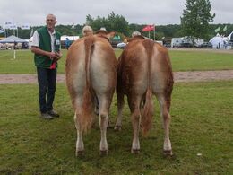 12,25 Kvier 12 - 14 mdr. Fløj (tv) til Engtoftegård Monalisa fra Anders Lange, Mørke