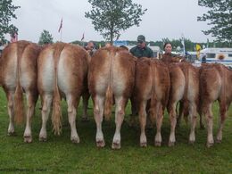 Bedste besætningsgruppe Bedste par fra Bøgely Limousine v/ Tommy Jessing, Brørup