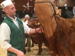 Jesper med Casablanca