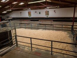 Brørup Markeds tidligere husdyrauktionslokale – her skulle Dansk Limousine Forenings avlsdyrsaktion 2023 foregå