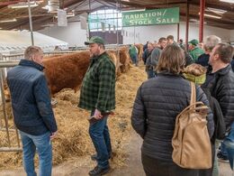 Snakken gik lystigt bag auktionsdyrene
