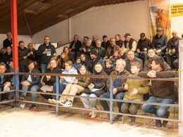 Klokken 12.30 sad eller stod publikum tæt omkring ringen