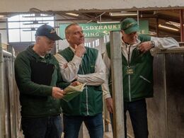 Et udsnit af auktionshjælperne i venteposition