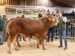 Halvæble Tuborg PP blev solgt for kr. 35.000,-