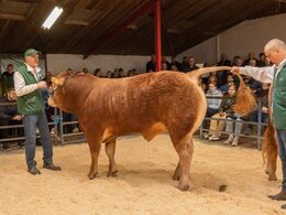 Engtoftegård Storebasse blev solgt for kr. 36.000,-