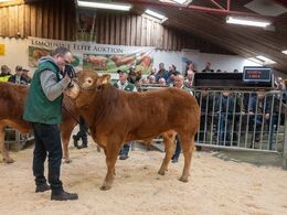 Vejerslev Tejs blev solgt for kr. 26.000,-