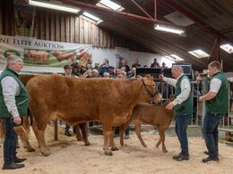 Mandarine-sættet blev solgt for kr. 51.000 og blev dermed auktionens dyreste