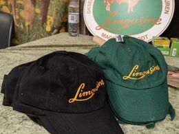 Hatten af for de mange limousinefolk, som på den ene eller den anden måde var involveret i at stable årets limousineauktion på benene – TAK til både udvalg og enkeltpersoner, som har udført de mange opgaver i forbindelse med auktionen