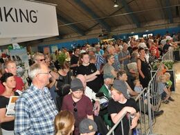 : Publikum ved at være på plads i Hal Q i Herning, hvor Dansk Limousine Forenings jubilæumsauktion skulle afholdes.