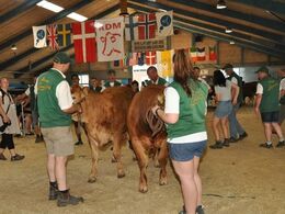 Tøjlerne gik dog hurtigt tilbage til mere kompetente folk…