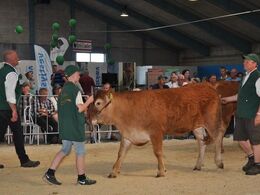 Kvien Engkjær Kythnos P