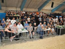 Alvorlige miner hos publikum