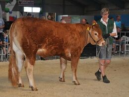 Næstsidste dyr var den pollede kvie Kjeldgård Jasmin, som blev solgt til Mette Foged.