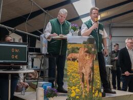 Formand, Søren Grunnet, byder velkommen til avldyrsauktionen