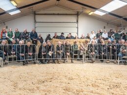 Udsnit af publikum, som forventningsfuldt har taget plads ved ringen