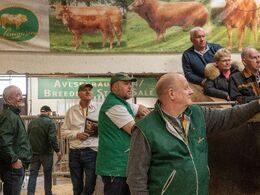 Frivillige og andre venter på at auktionen går i gang