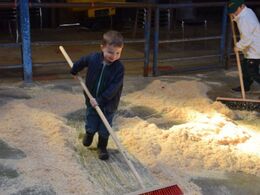 Efter auktionen, hvor der i alt blev solgt dyr for kr. 338.000,- blev det efterhånden tid til at rydde op. Disse to små drenge var hurtige til at tage hver sin kost og gå i gang. Tak til både store og små limousinefolk, som på den ene eller den anden måde