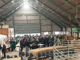 Hen imod middag trak ikke kun limousinerne men også grillpølser med brød