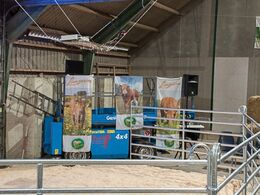 Fin auktionsring – auktionarius blev sidenhen placeret i liften