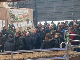 Nu begynder der at være godt fyldt op